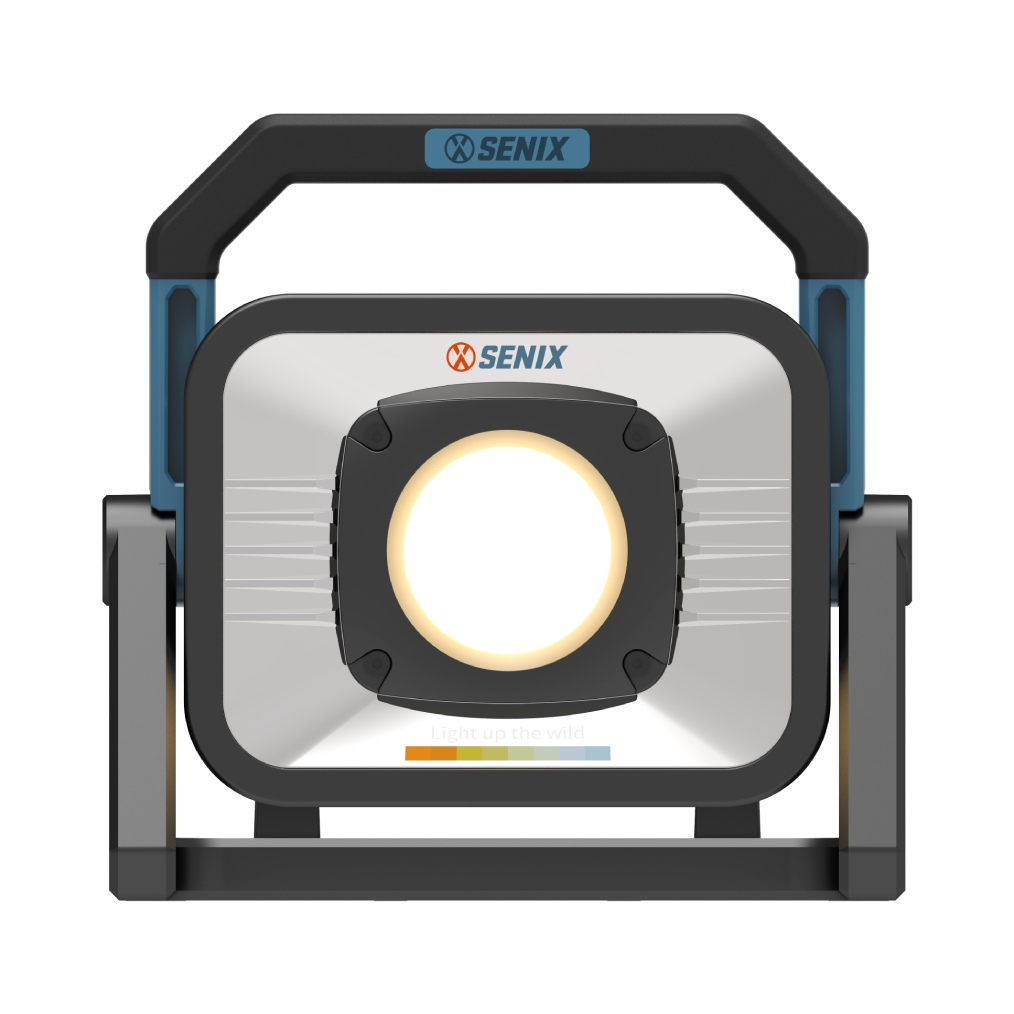 20V 4-Mode Task Light