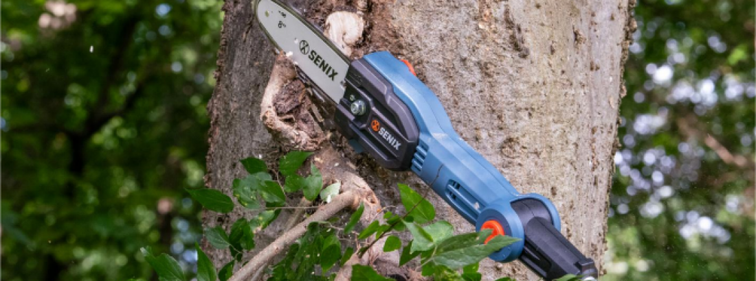 Winter Storms Highlight the Need for Yard Protection Measures