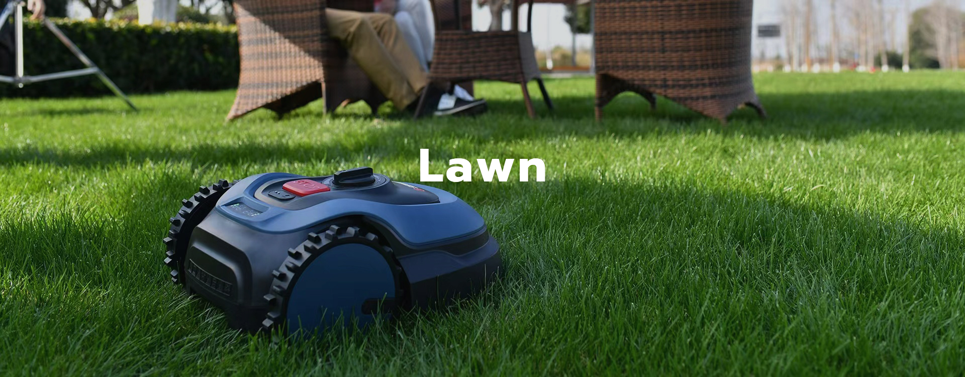 Lawn